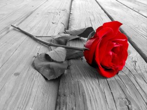 From http://aduphoto.com/black-and-white-photography-with-one-color-background-1-hd-wallpaper.html